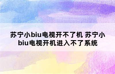 苏宁小biu电视开不了机 苏宁小biu电视开机进入不了系统